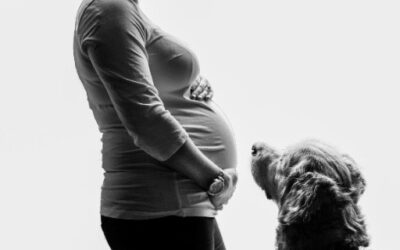 Preparing your fur-baby for a new human baby.