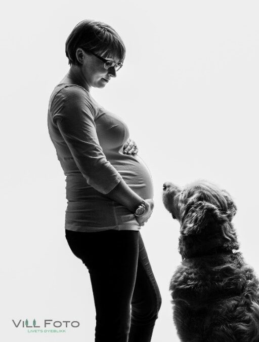 Preparing your fur-baby for a new human baby.